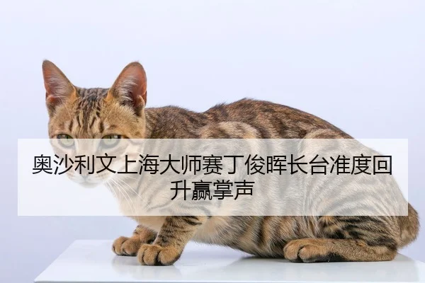 奥沙利文上海大师赛丁俊晖长台准度回升赢掌声
