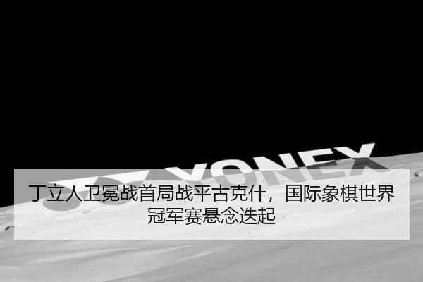 ding-li-ren-wei-mian-zhan-shou-ju-zhan-ping-gu-ke-shen-guo-ji-xiang-qi-shi-jie-guan-jun-sai-xuan-nian-die-qi-2-294.jpg