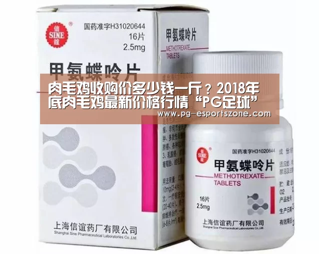 PG竞猜