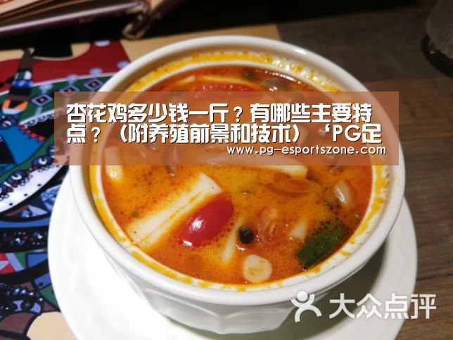 PG足球