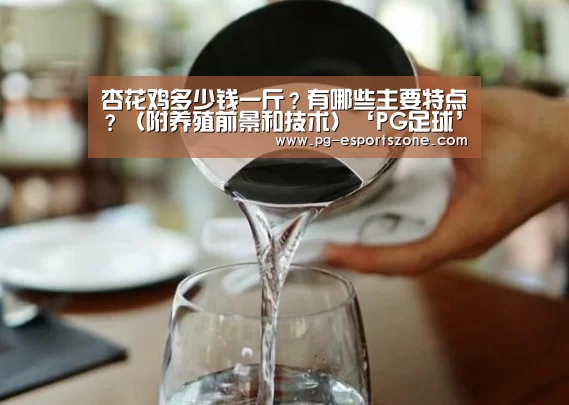 PG体育