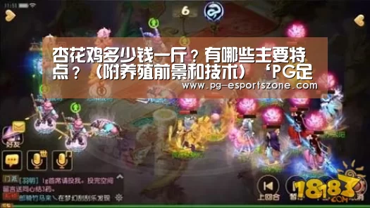PG足球