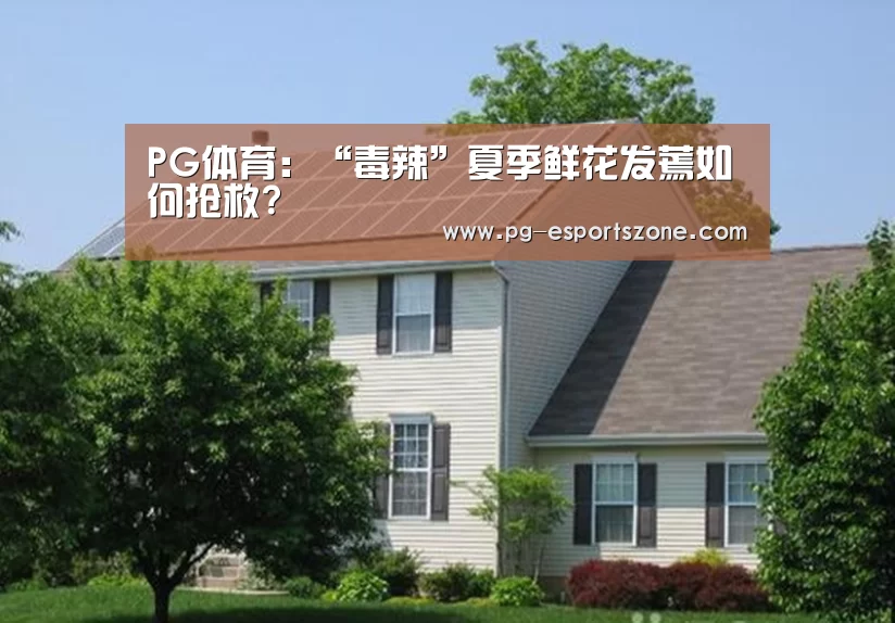 PG体育:“毒辣”夏季鲜花发蔫如何抢救?(图3) PG足球