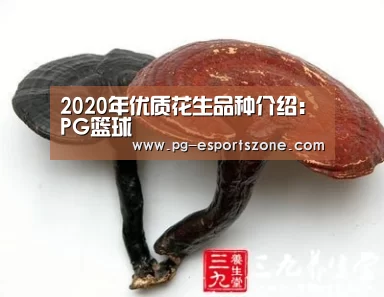 PG足球