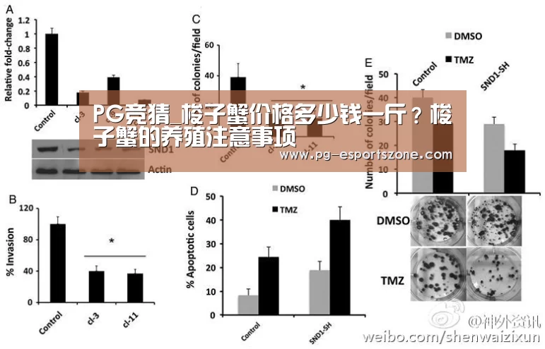 PG竞猜_梭子蟹价格多少钱一斤?梭子蟹的养殖注意事项(图4) PG足球