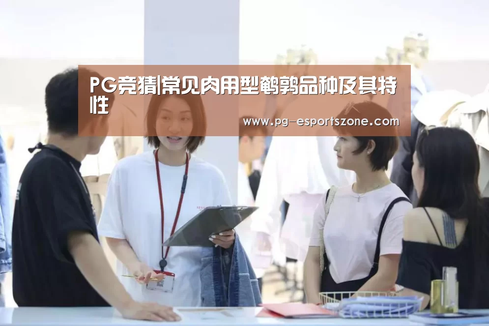 PG篮球