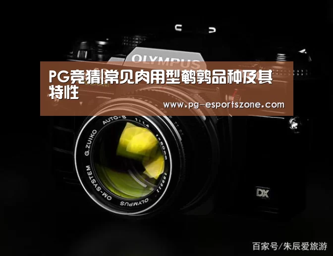PG足球