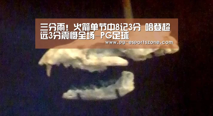 三分雨！火箭单节中8记3分 哈登超远3分震慑全场-PG足球