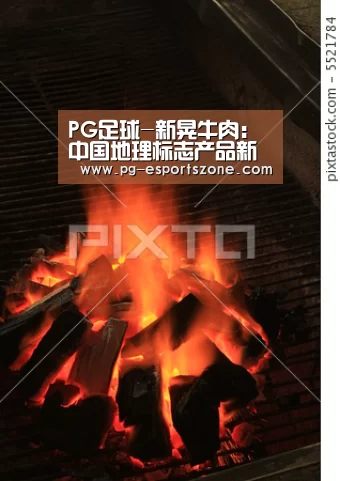PG体育